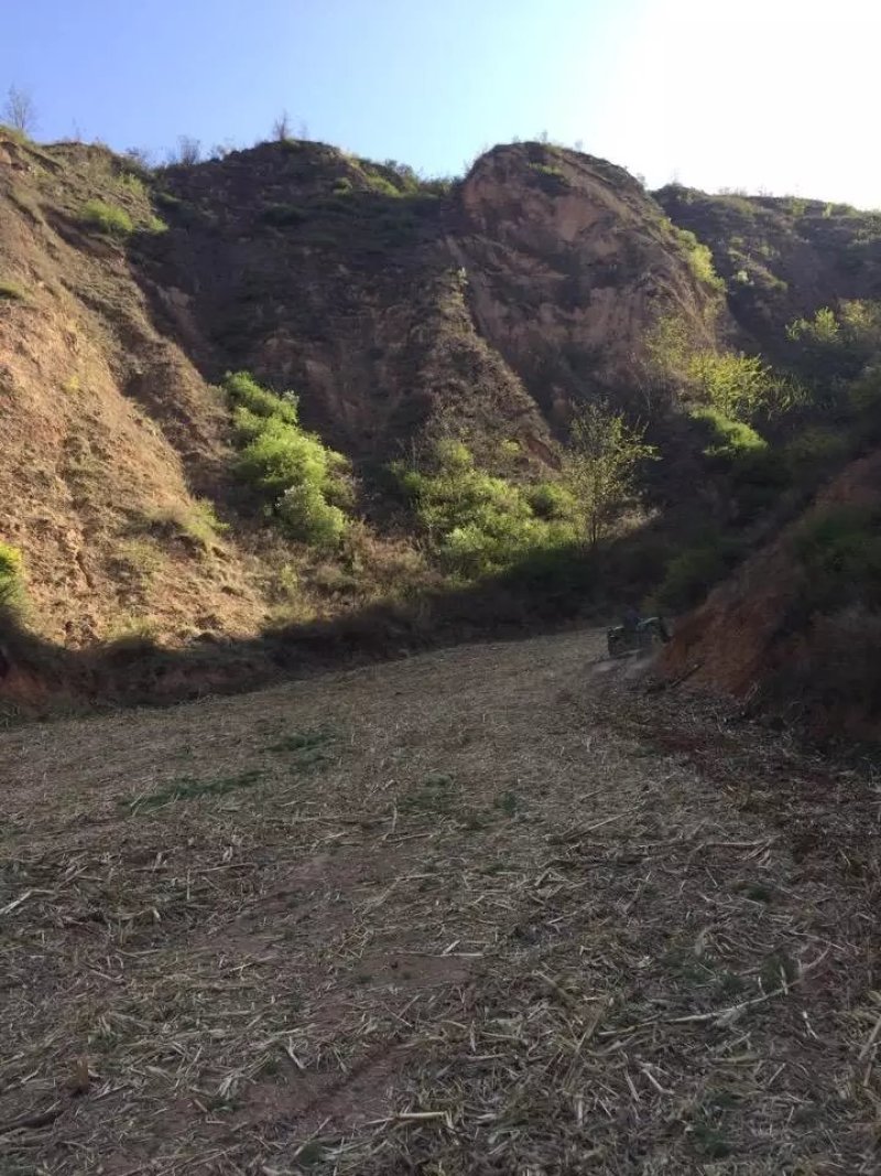 山地沟地100亩，有泉水散养家禽家畜，交通便利寻合作