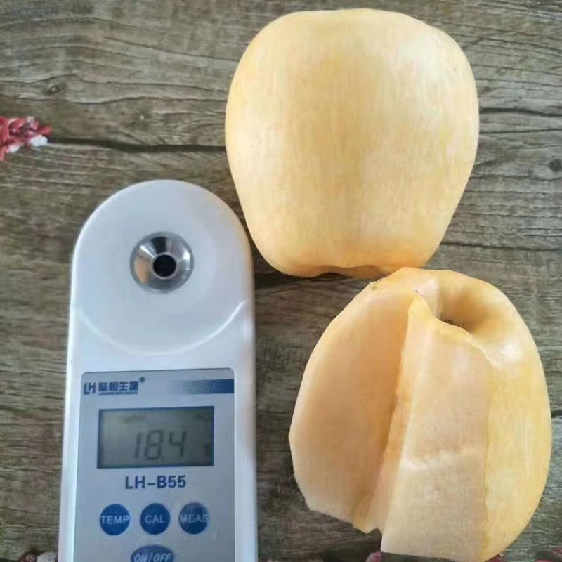 维纳斯黄金苹果苗包品种基地直销包邮
