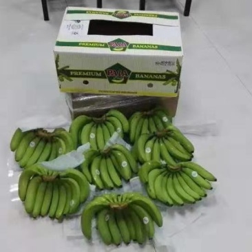 进口蕉。青蕉熟蕉