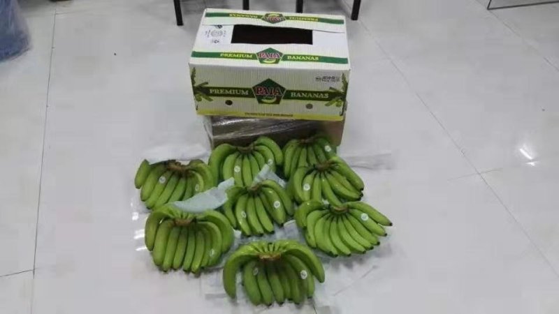进口蕉。青蕉熟蕉