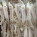 A级脆口鱿鱼须20-30g货柜批发