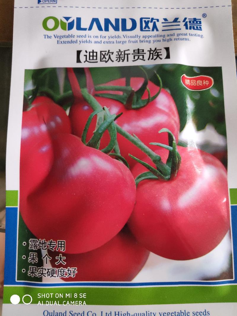 欧兰德迪欧新贵族粉果番茄种子(露地专用)