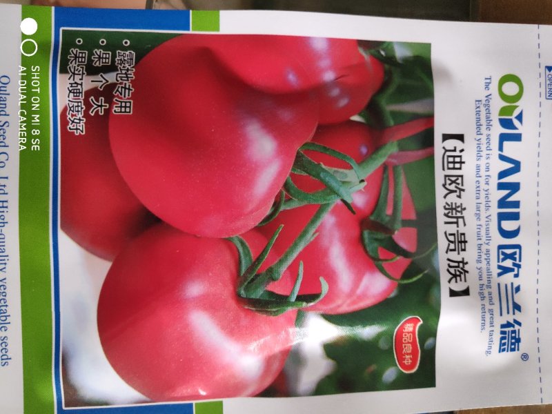 欧兰德迪欧新贵族粉果番茄种子(露地专用)