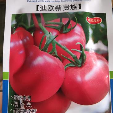 欧兰德迪欧新贵族粉果番茄种子