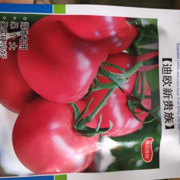 欧兰德迪欧新贵族粉果番茄种子