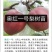 玉露香梨树苗基地直销玉露香梨苗批发价格