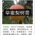 玉露香梨树苗基地直销玉露香梨苗批发价格