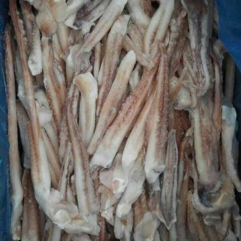 A级冻切鱿鱼条货柜批发