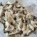 A级鱼下巴20-60g货柜批发