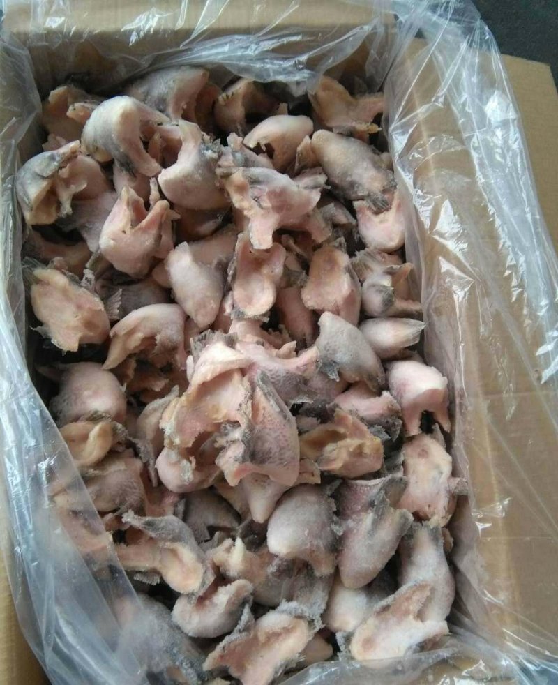 A级鱼下巴20-60g货柜批发