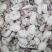 A级小墨鱼仔10-25g货柜批发
