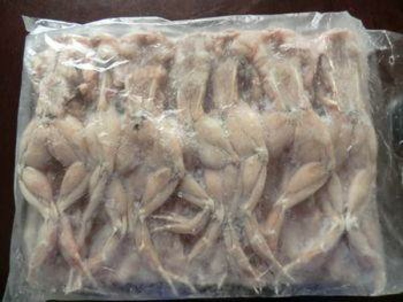 A级牛蛙200-300g货柜批发