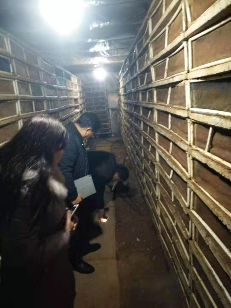 白玉蜗牛