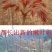红油香椿苗矮化香椿苗基地直销现挖现卖诚信经营