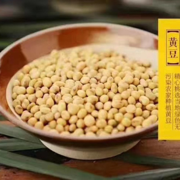 巴中鱼溪豆干，巴中最好吃的豆干