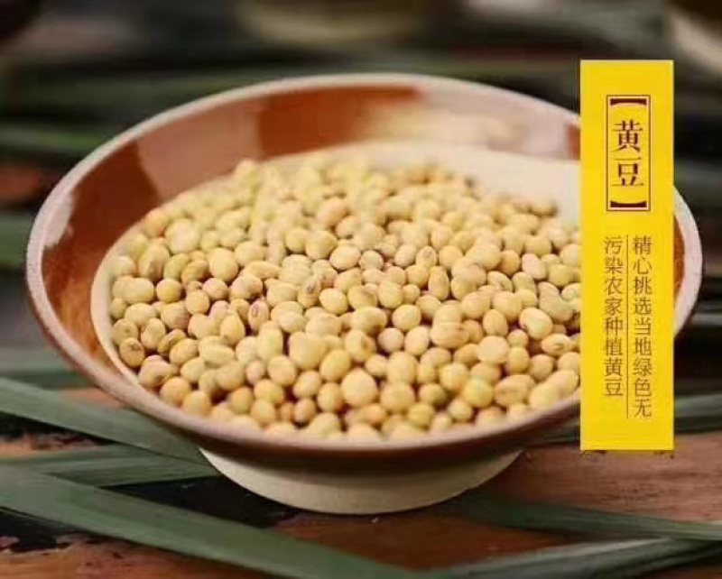 巴中鱼溪豆干，巴中最好吃的豆干