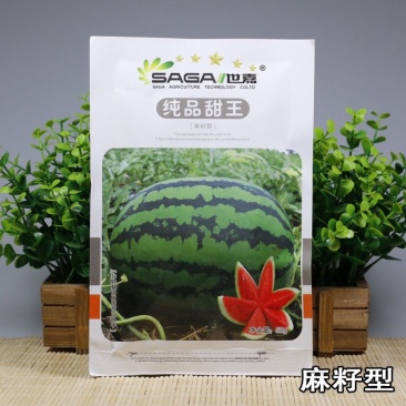 世嘉纯品甜王西瓜种子大果短椭圆形大红瓤甜脆爽口皮薄抗裂