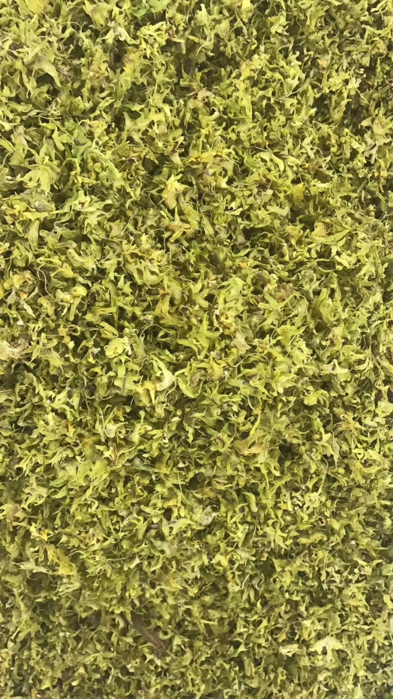 石斛花