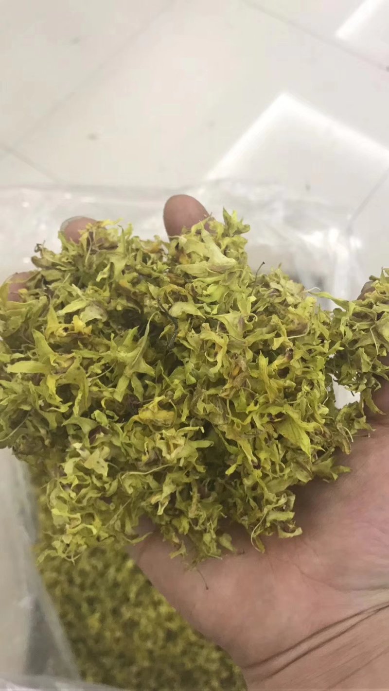 石斛花