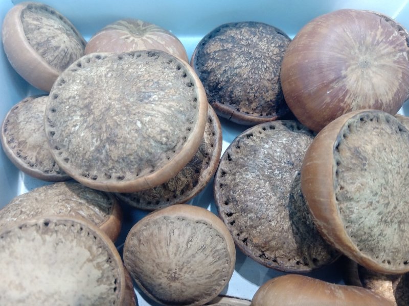 风流果1公斤起批不包邮量大电议欢迎咨询各种中药材