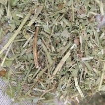 羊饲料花生秧干草今年新花生秧无土无地膜无霉变