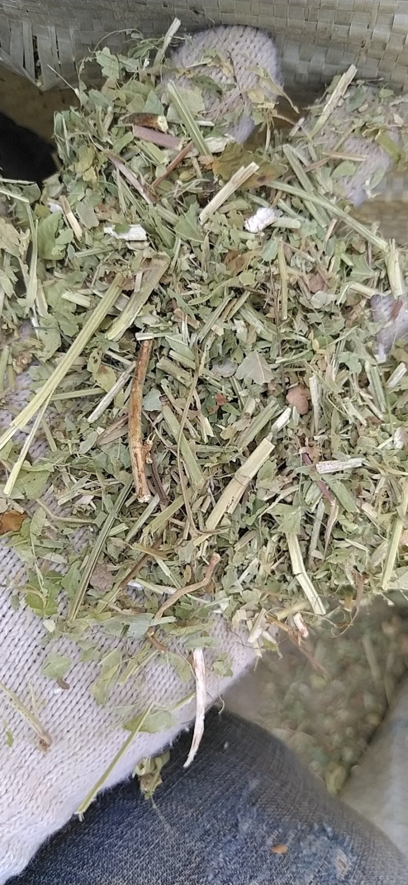 羊饲料花生秧干草今年新花生秧无土无地膜无霉变