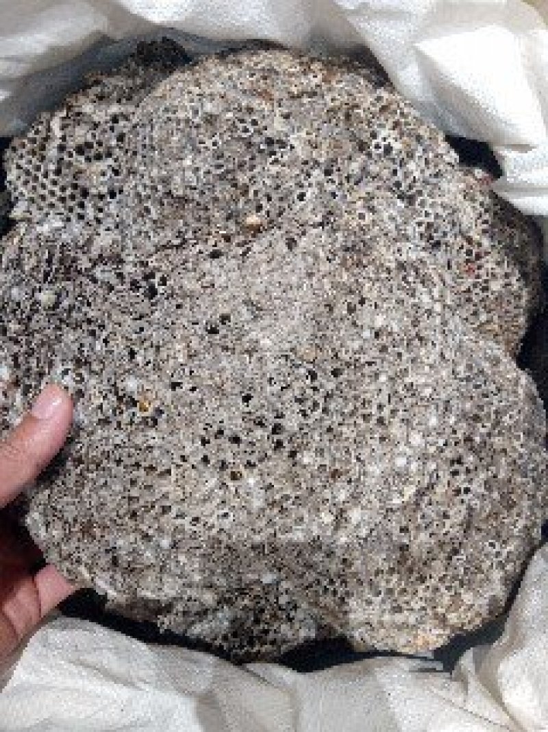 蜂房1公斤起批不包邮量大电议欢迎咨询