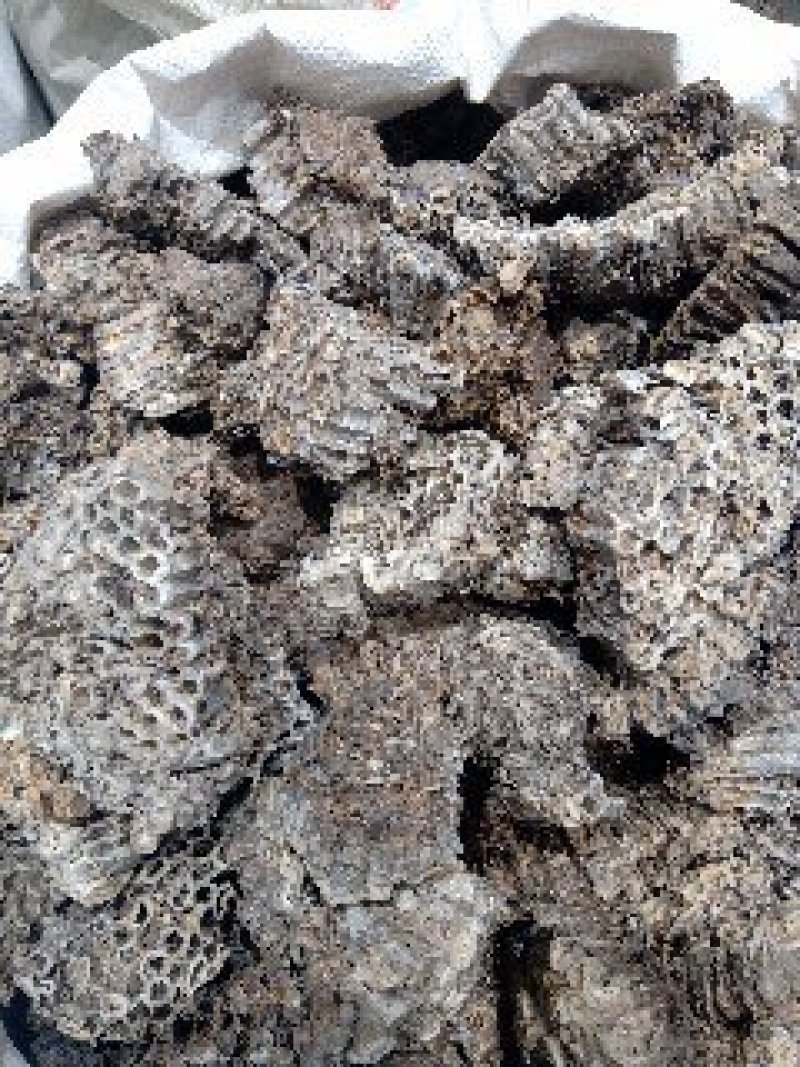 蜂房1公斤起批不包邮量大电议欢迎咨询