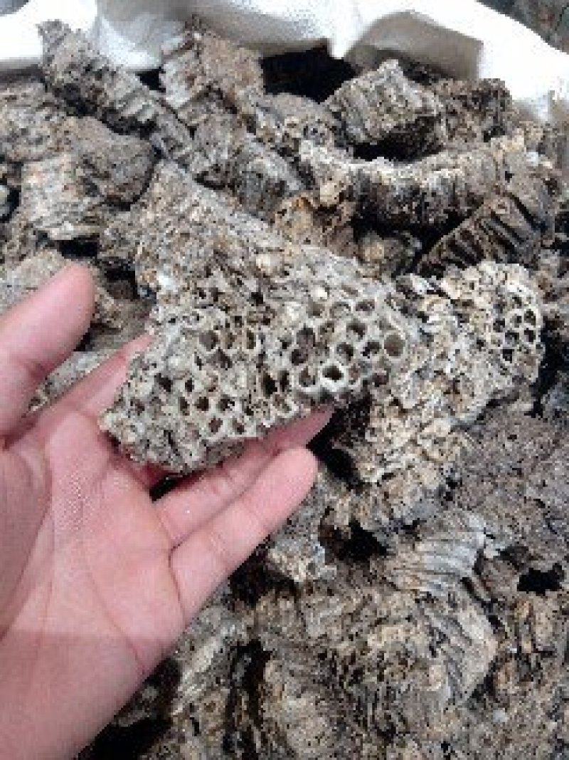 蜂房1公斤起批不包邮量大电议欢迎咨询