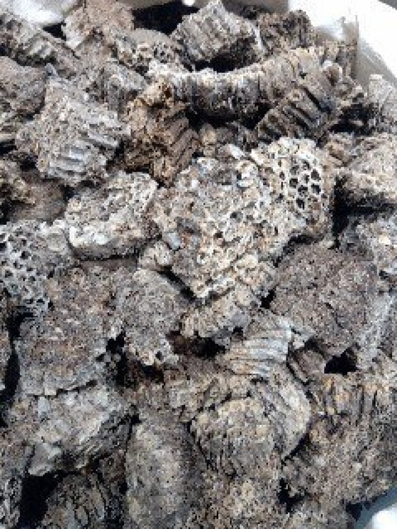 蜂房1公斤起批不包邮量大电议欢迎咨询