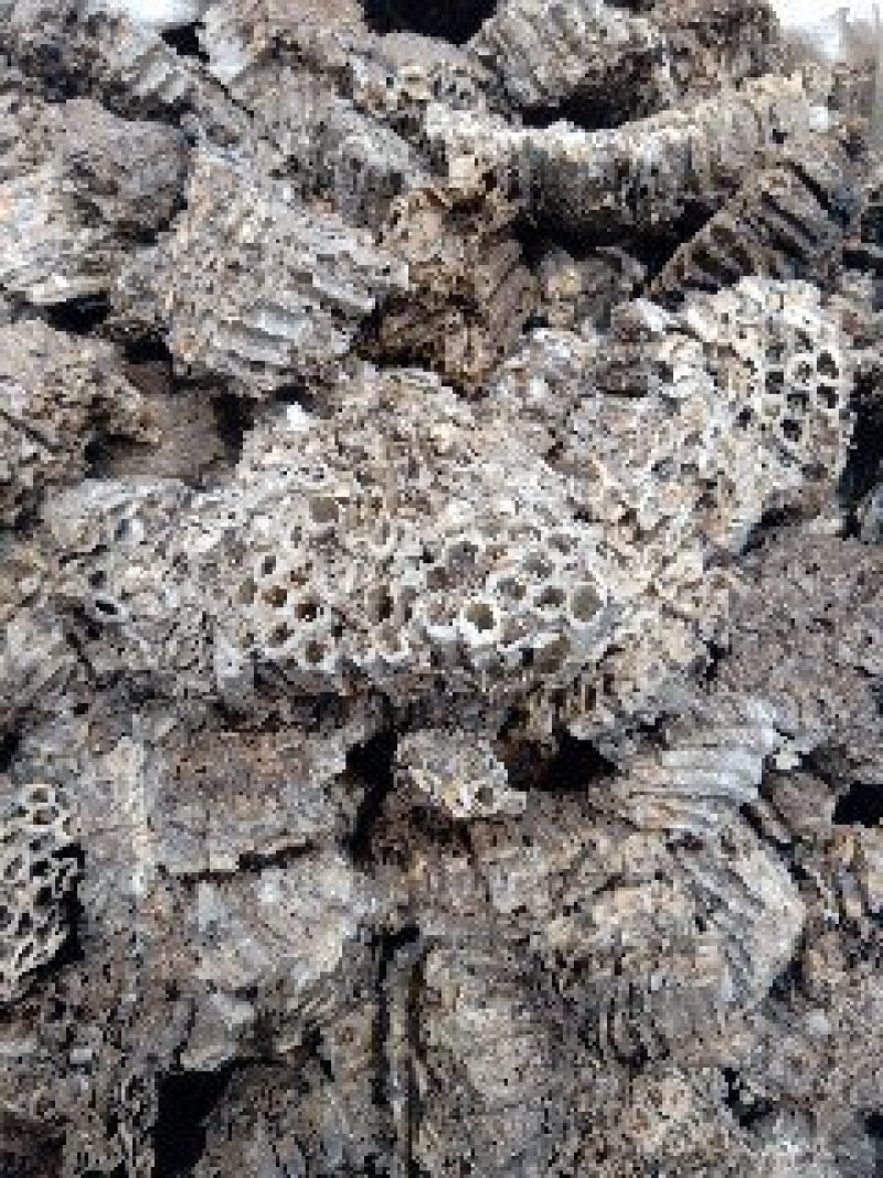 蜂房1公斤起批不包邮量大电议欢迎咨询