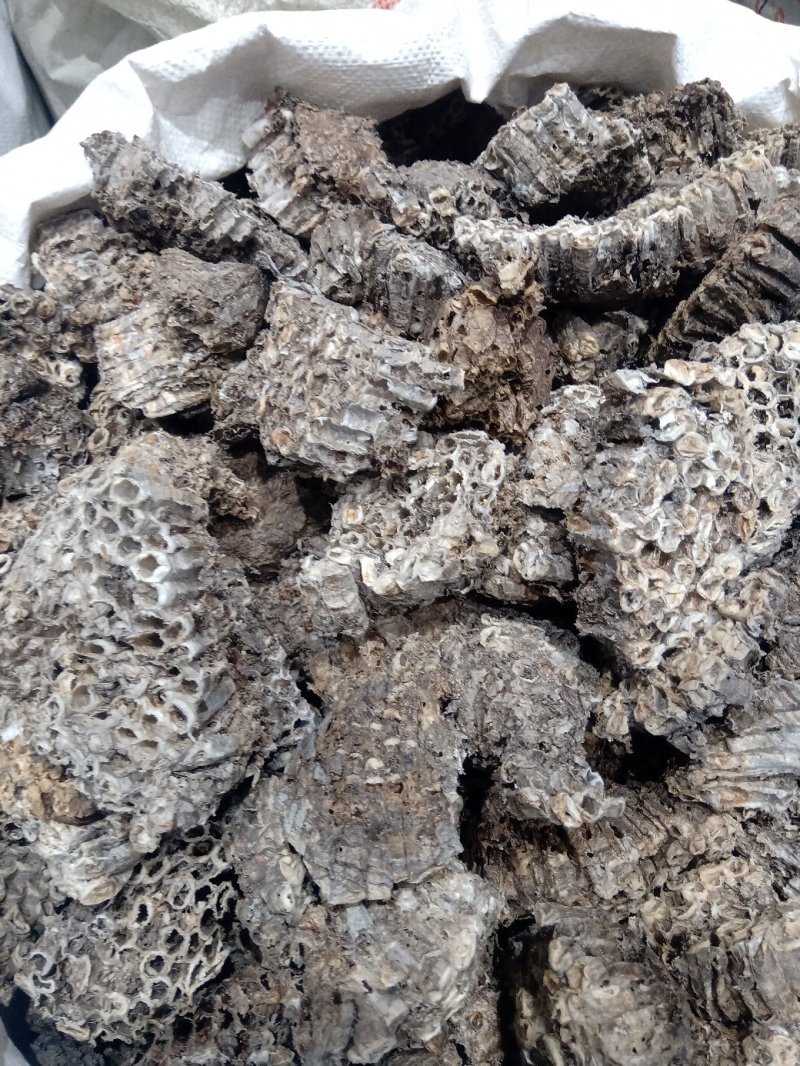 蜂房1公斤起批不包邮量大电议欢迎咨询