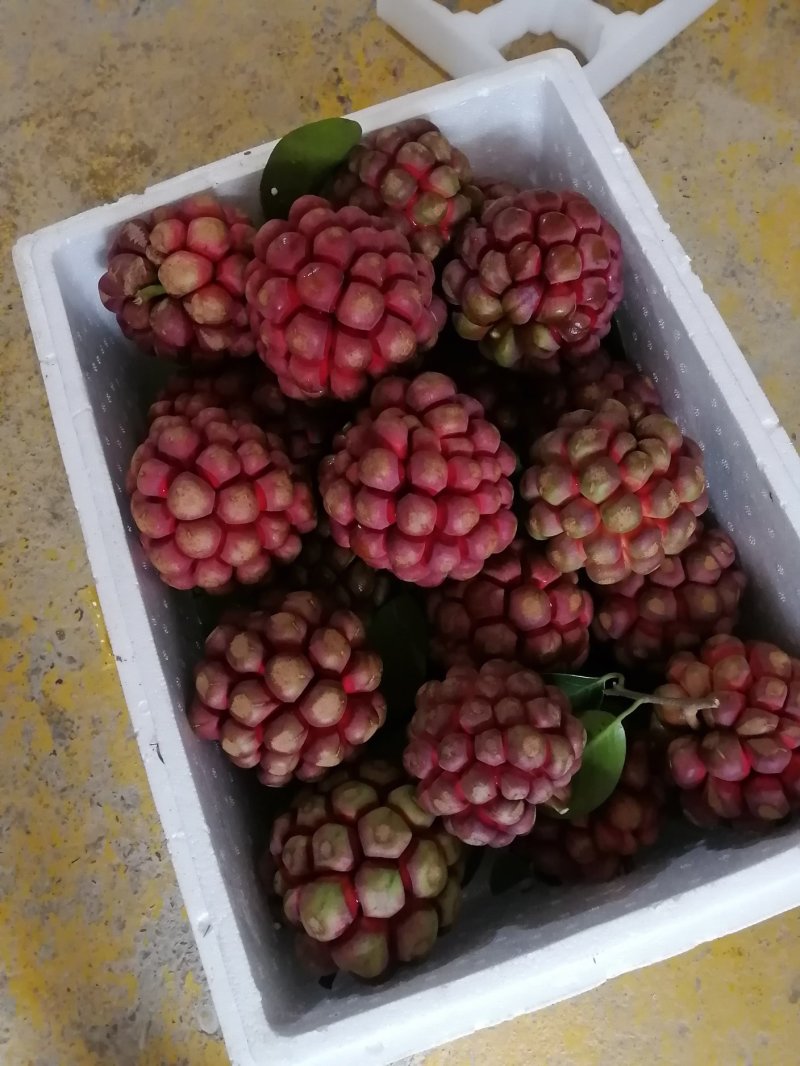 布福娜