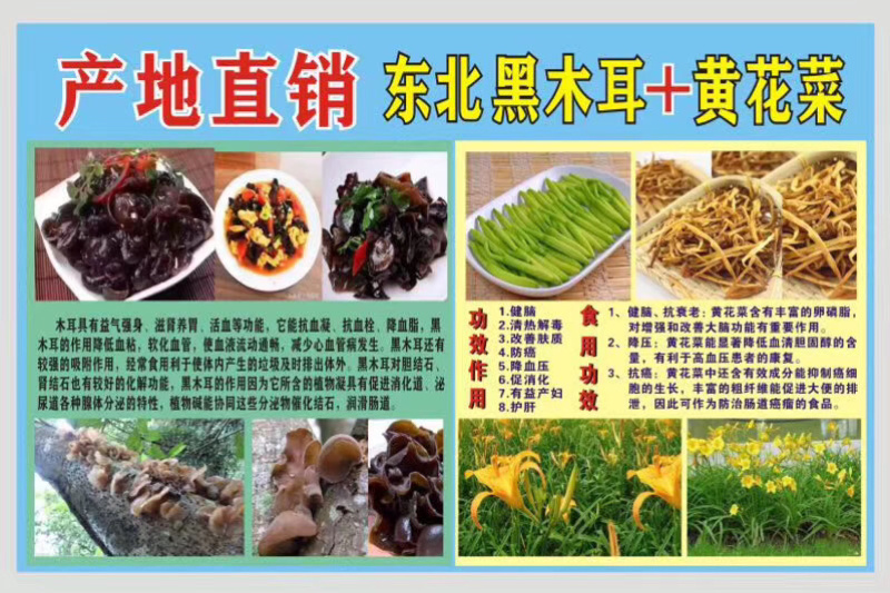 东北黑木耳