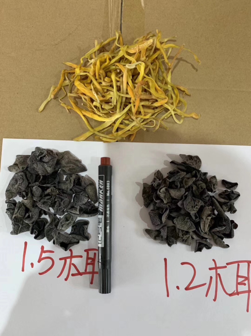 东北黑木耳