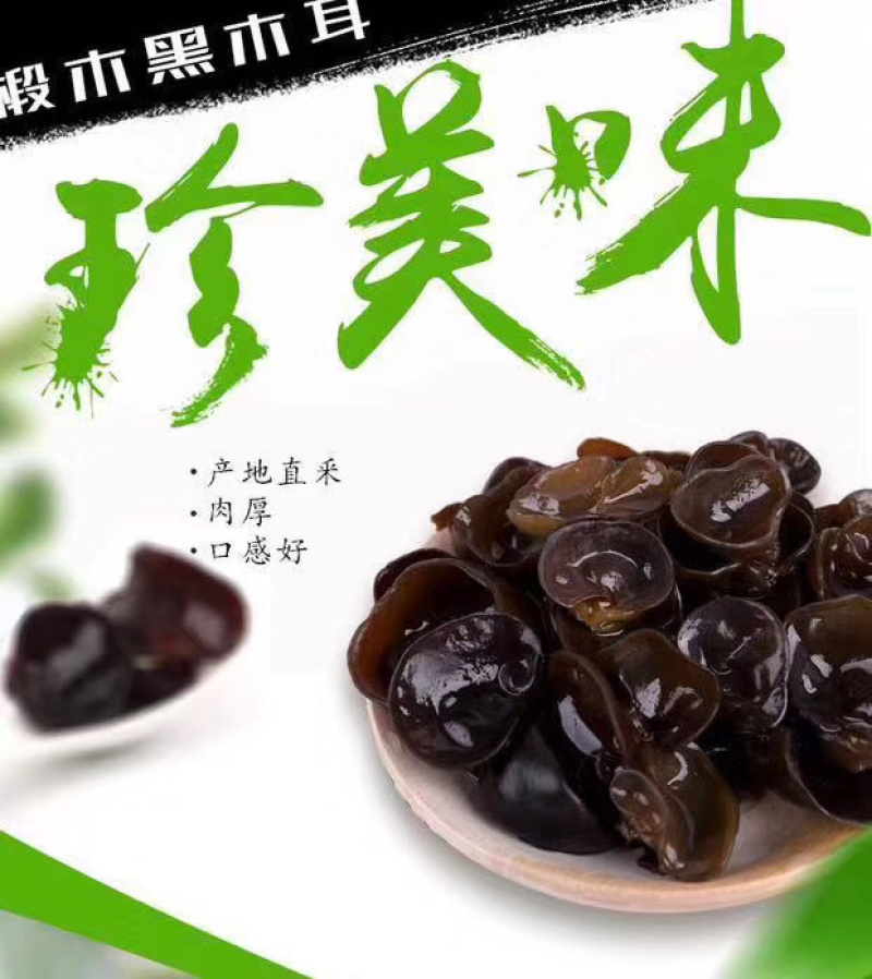 东北黑木耳