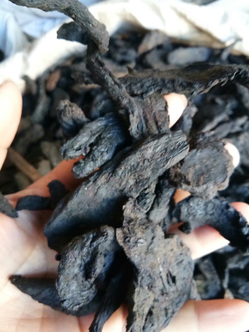 肉苁蓉新疆软大云高含量片大均匀一公斤起包邮