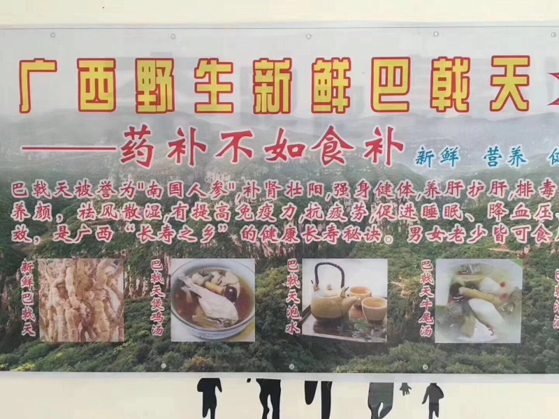 野生巴戟天