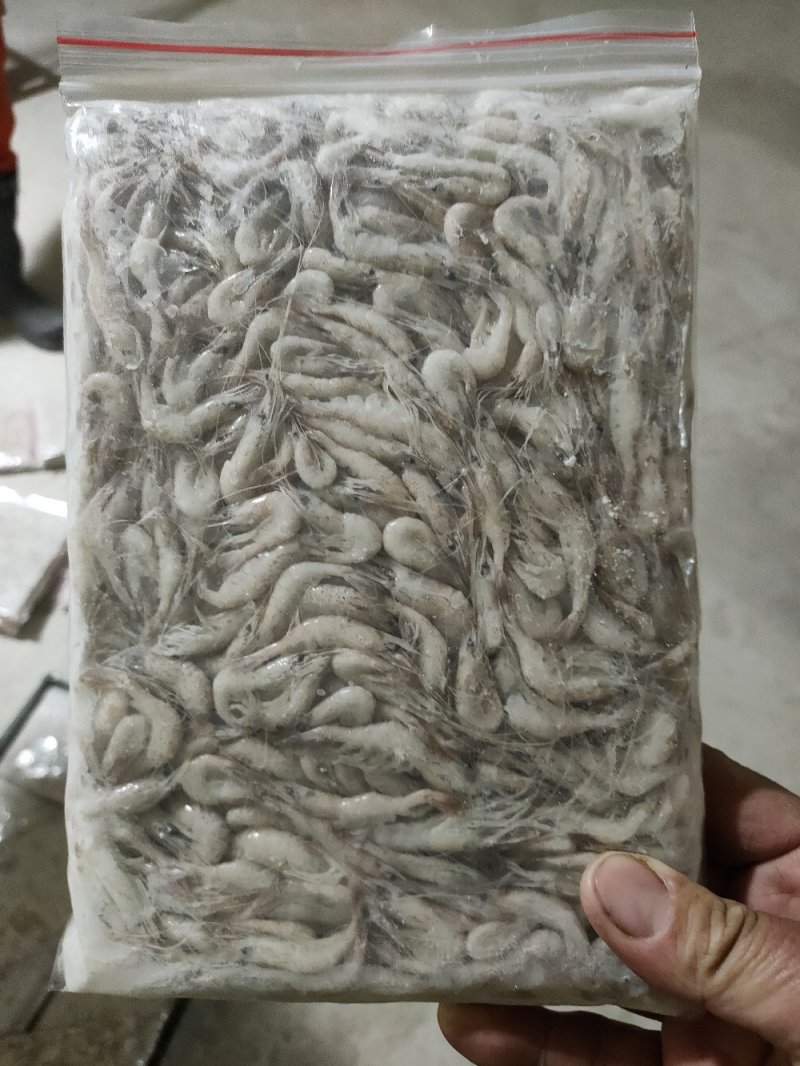 白虾，保证质量，欢迎骚扰