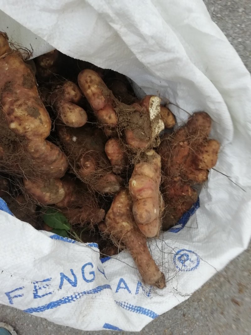 灵芝山药佛手山药