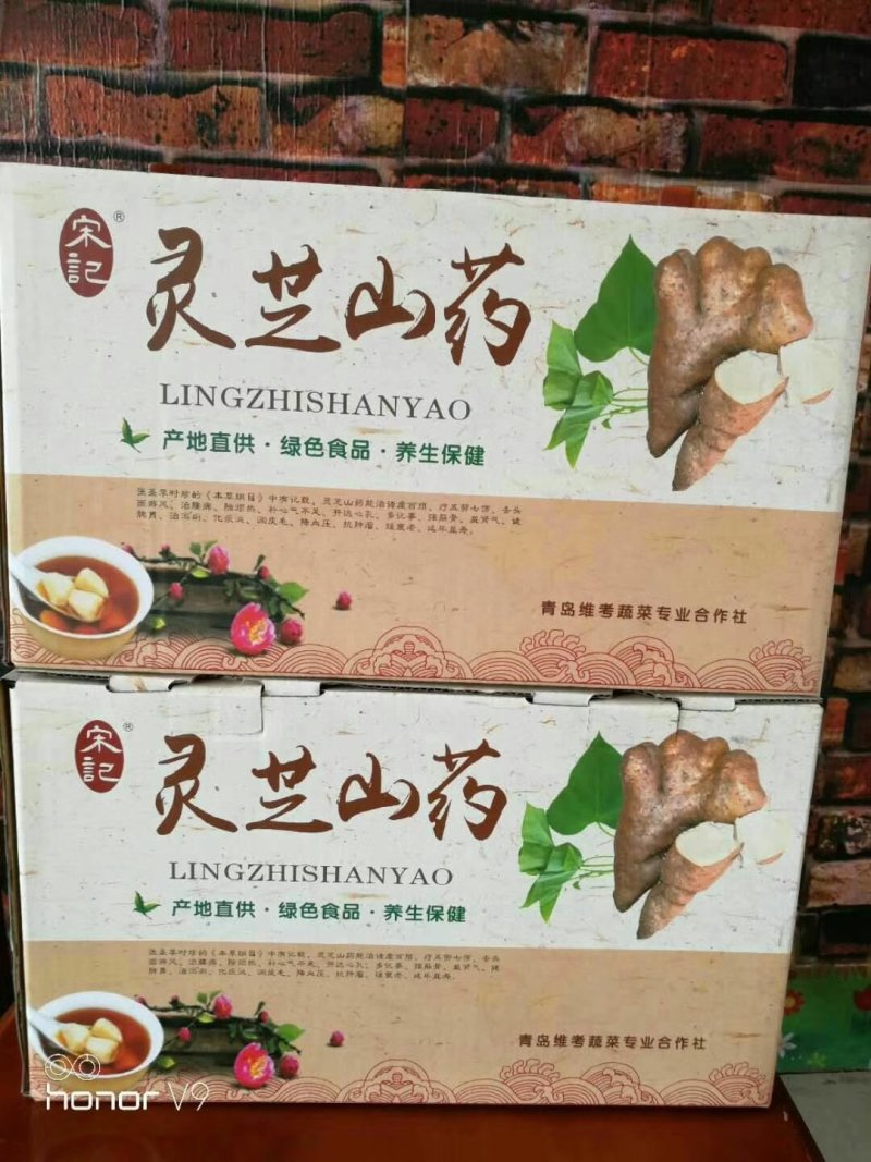 灵芝山药佛手山药