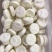 牛羊奶贝牛奶贝羊奶贝牛奶片羊奶片驼奶贝