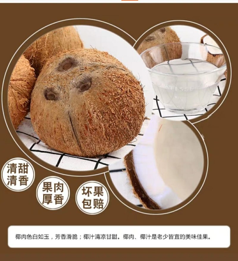 海南去皮椰子毛椰老椰子三亚椰青
