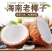 海南去皮椰子毛椰老椰子三亚椰青