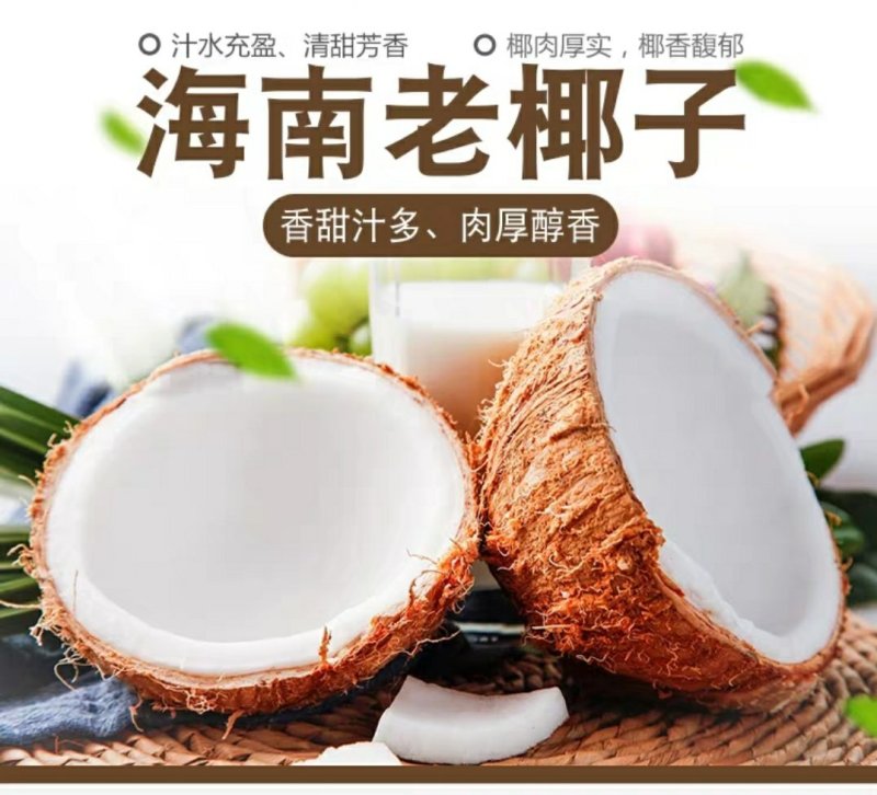 海南去皮椰子毛椰老椰子三亚椰青