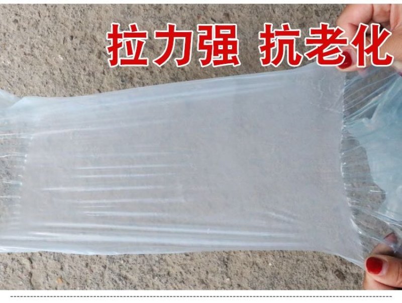 大棚膜灌浆膜蔬菜水果花卉养殖膜2米—20可定制