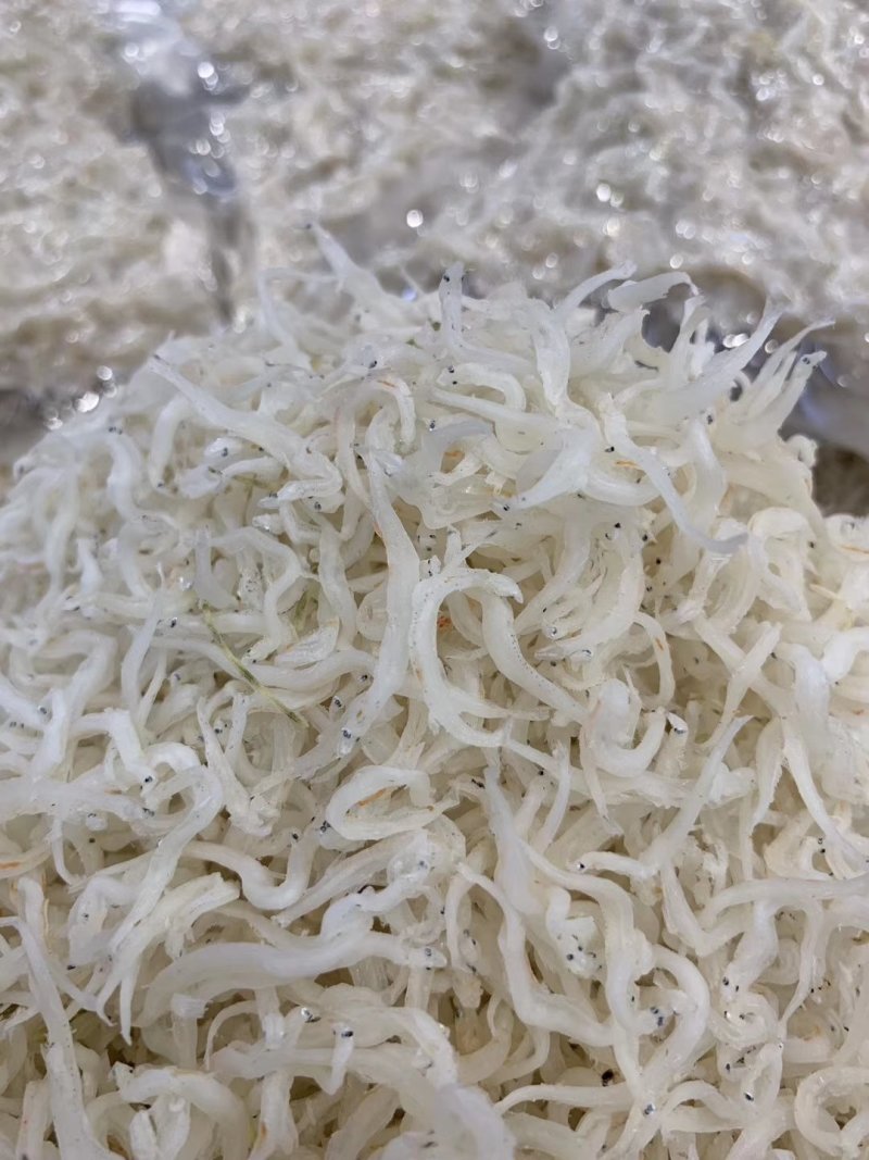 银鱼干！接近尾声！欲购从速！