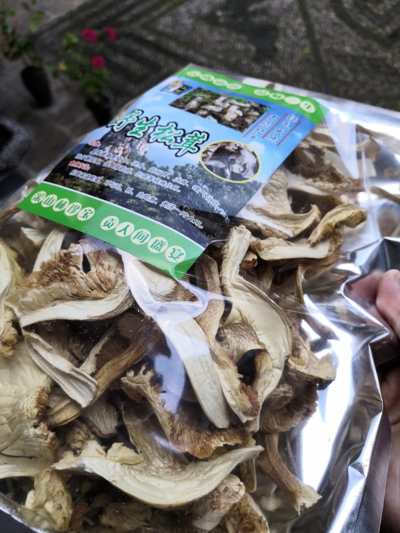 香格里拉松茸干片袋装一件代发批发包邮