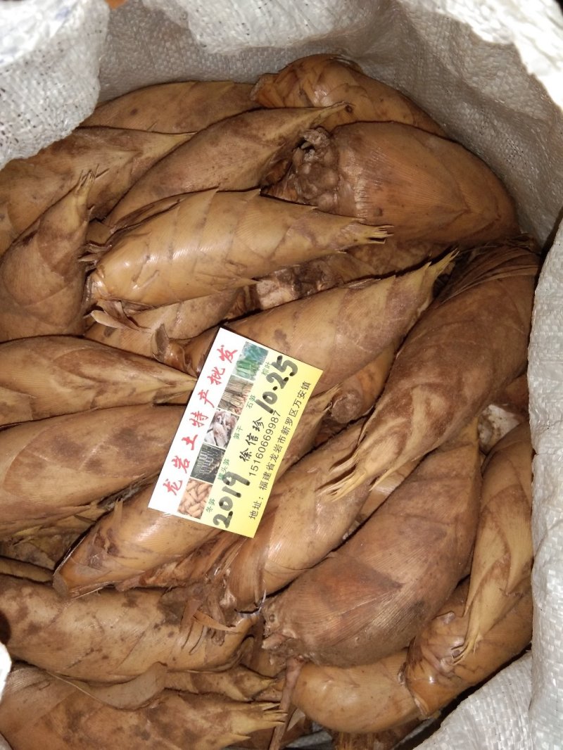 冬笋春笋罐头笋大量批发。