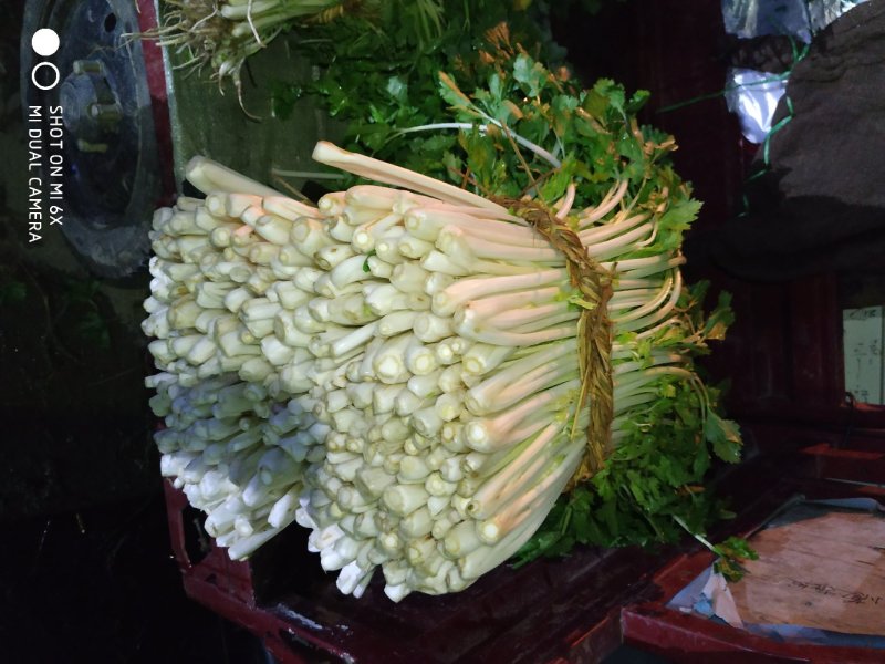 白芹菜，带根和不带根都有